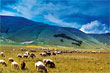 National Park of Sibillini Mountains